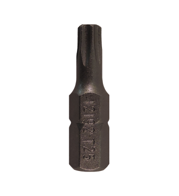 Torx Drive Bits
